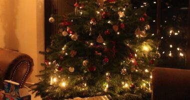 a decorated christmas tree in a living room